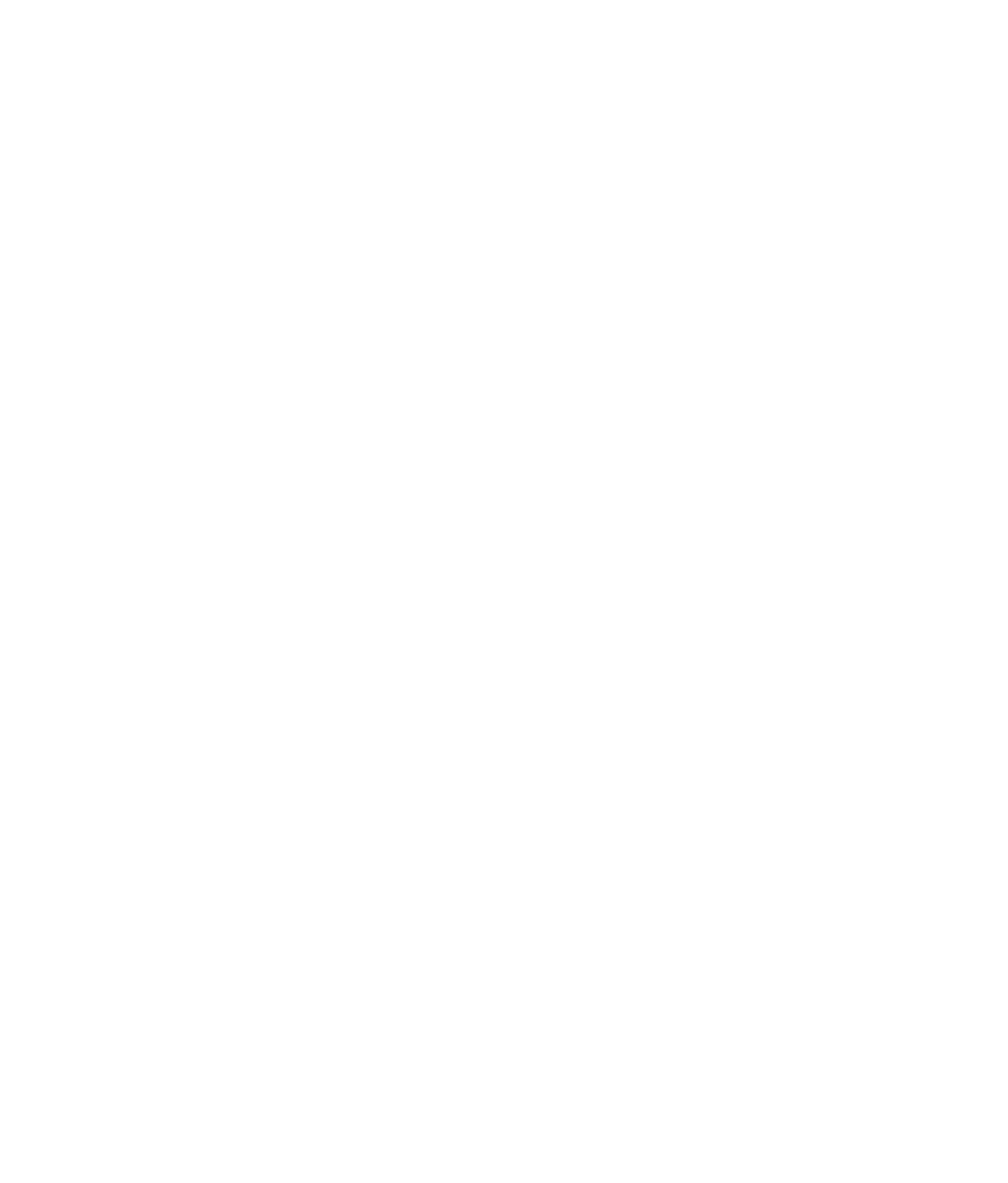 Zicmade